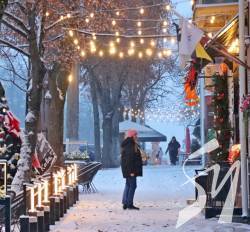 ������ ���� - �����������. ����